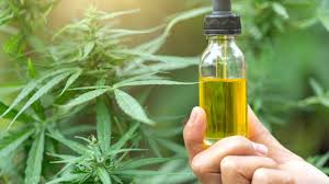 Hemp vs Marijuana CBD in Arizona