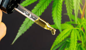 Understanding Hemp vs Marijuana