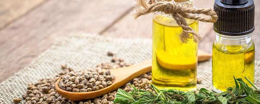 CBD Oil for Everyday Wellness